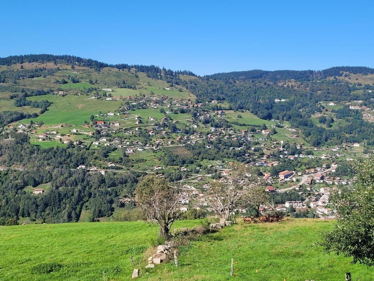 Maison Chaleureuse La Meybel La Bresse Εξωτερικό φωτογραφία